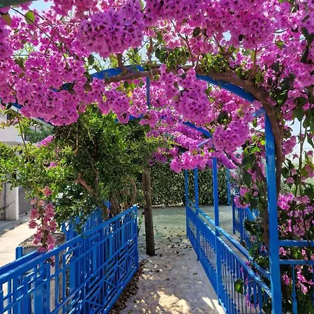Summer By The Sea Holiday home *